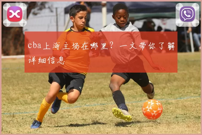 cba上海主场在哪里？一文带你了解详细信息