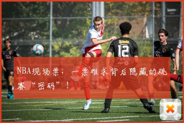 NBA现场票，一票难求背后隐藏的观赛“密码”！