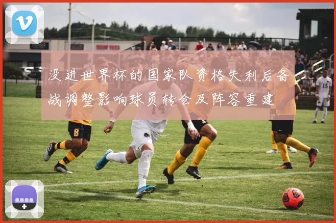 没进世界杯的国家队资格失利后备战调整影响球员转会及阵容重建